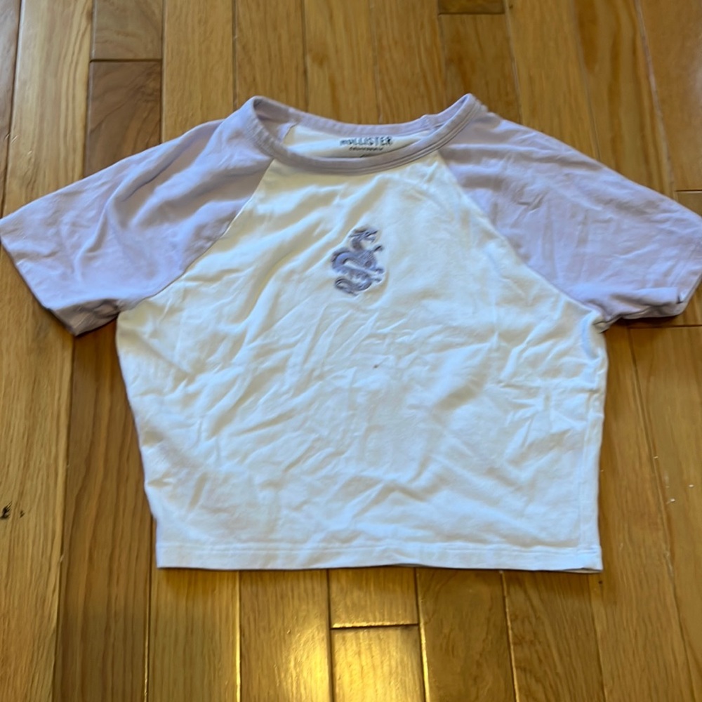 Color block graphic snake tee from hollister